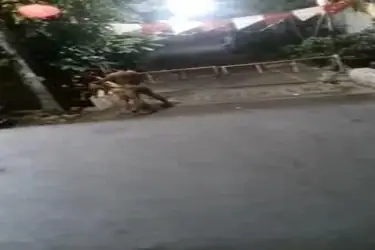 Gadis Cantik Pasrah Posisi Doggy Di Tempat Sepi